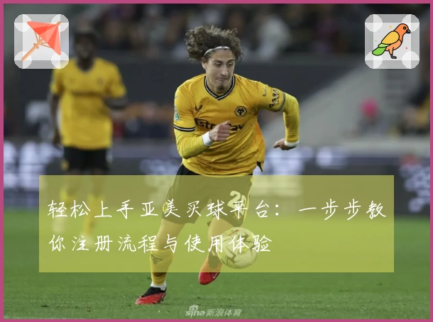 轻松上手亚美买球平台：一步步教你注册流程与使用体验