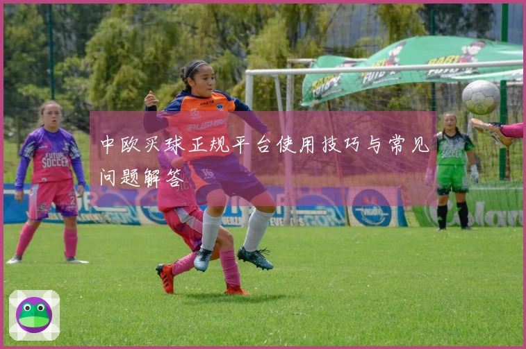 中欧买球正规平台使用技巧与常见问题解答