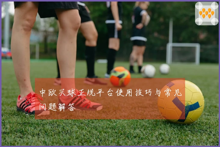 中欧买球正规平台使用技巧与常见问题解答