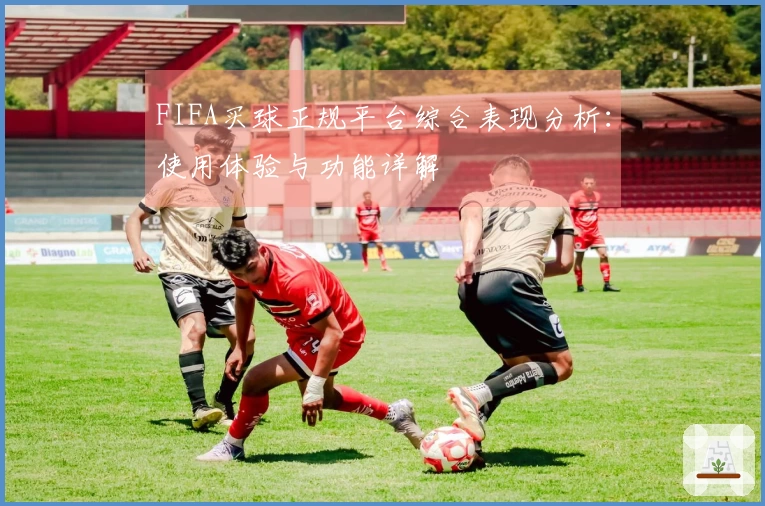 FIFA买球正规平台综合表现分析：使用体验与功能详解