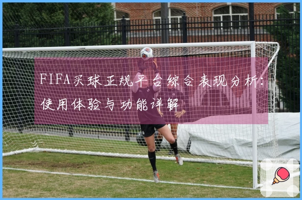 FIFA买球正规平台综合表现分析：使用体验与功能详解